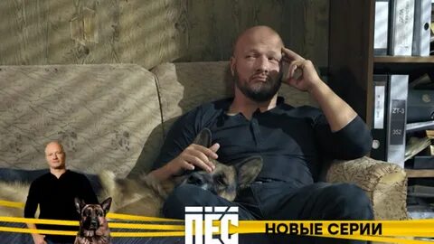 Собак новый ролик