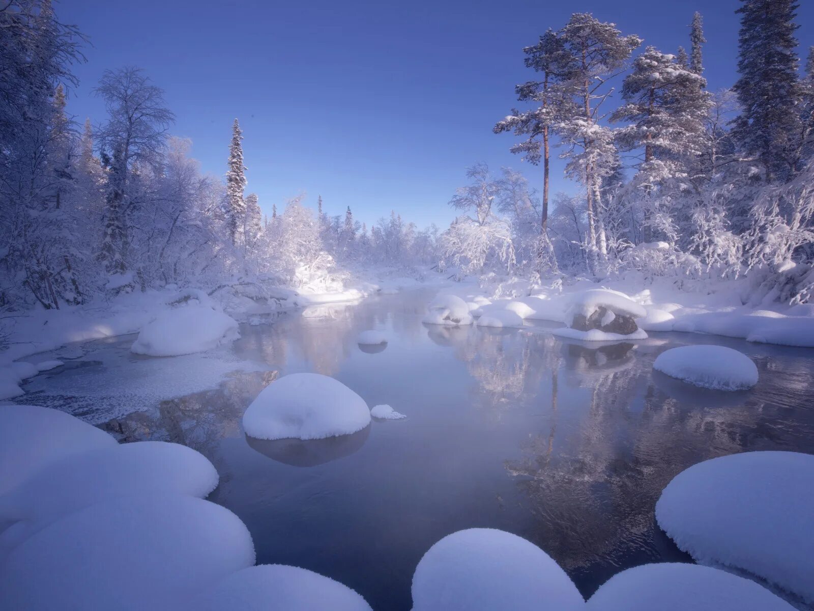 Зимняя природа. Снег вода французский. Снег лес вода. Зимняя природа. Красивая зима.