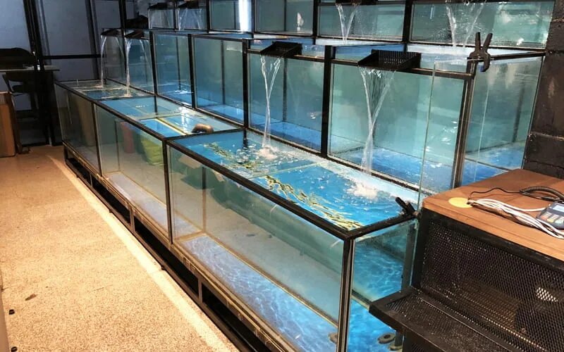 Каскадный аквариум. Многоуровневый аквариум. Каскадный аквариум фото. Аквариум double tank kit. Аквариум тетра 6.