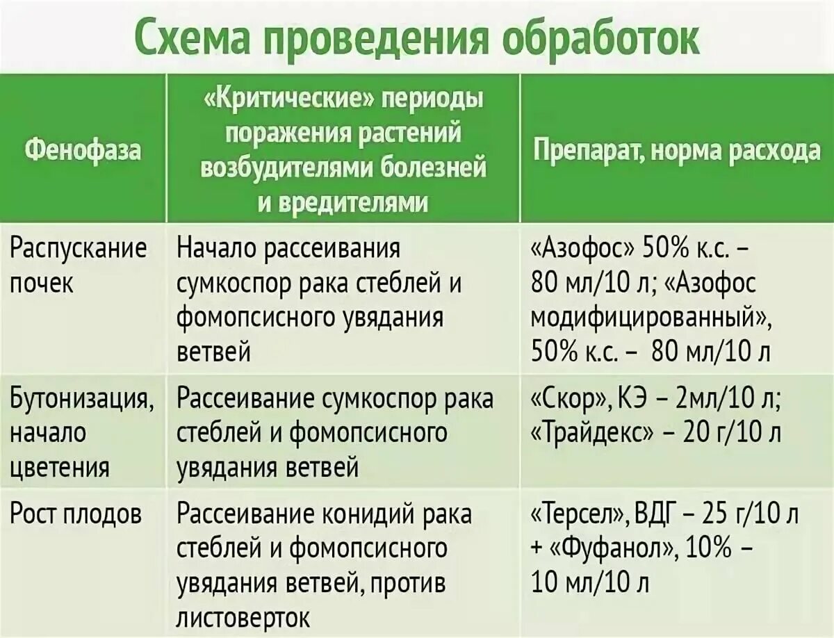 Чем обработать хвойные от болезней. Препараты для обработки деревьев весной от вредителей. Обработка плодовых деревьев от вредителей и болезней. Схема обработки деревьев весной. Схема обработки сада от вредителей.