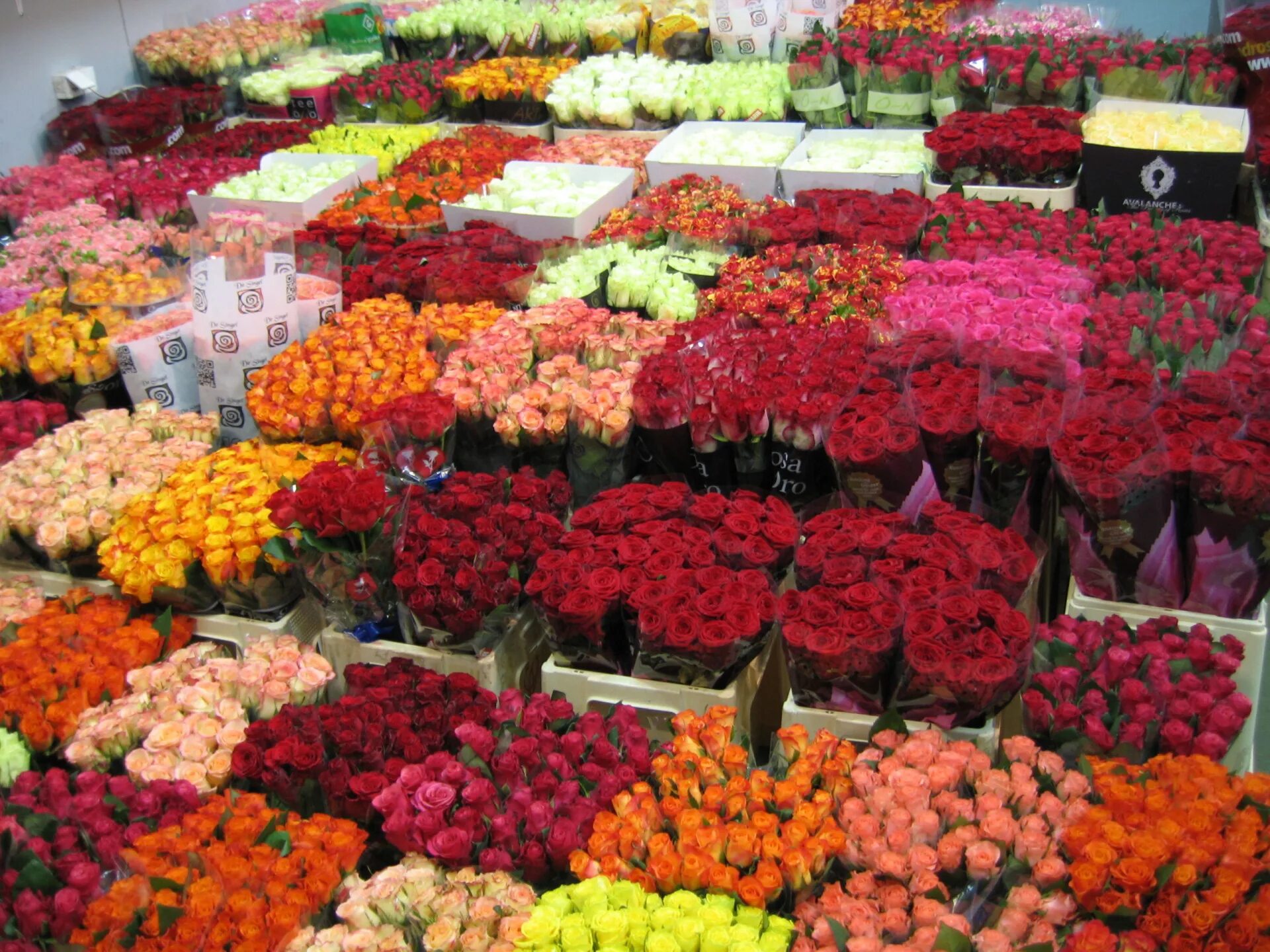 Где купить цветы в москве в розницу. Цветы магазинные. Цветочный склад. Оптовый склад цветов. Оптовая база цветов.