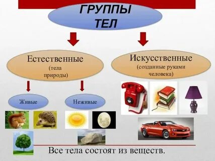 Примеры естественных тел 3 класс окружающий мир
