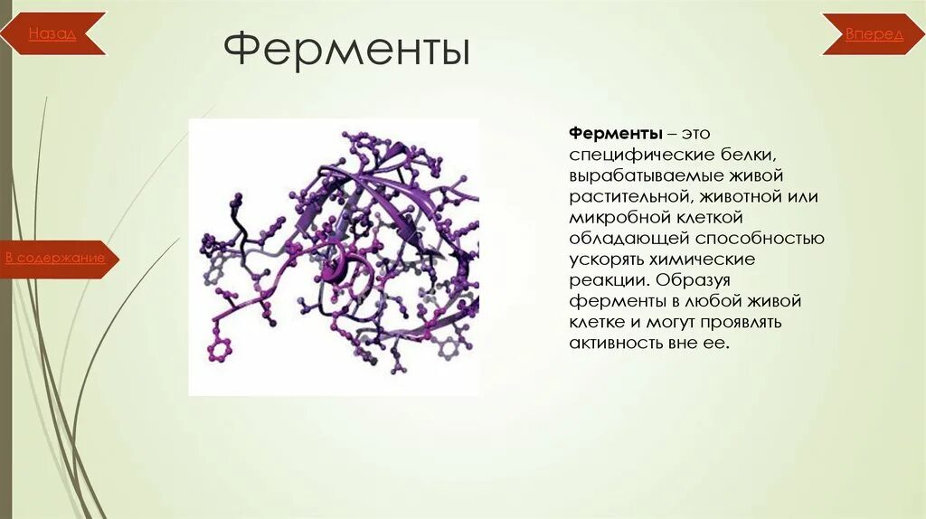 Белок название фермента. Белок фермент. Ферменты специфические белки. Ферменты это белки которые. Ферменты и пигменты бактерий.