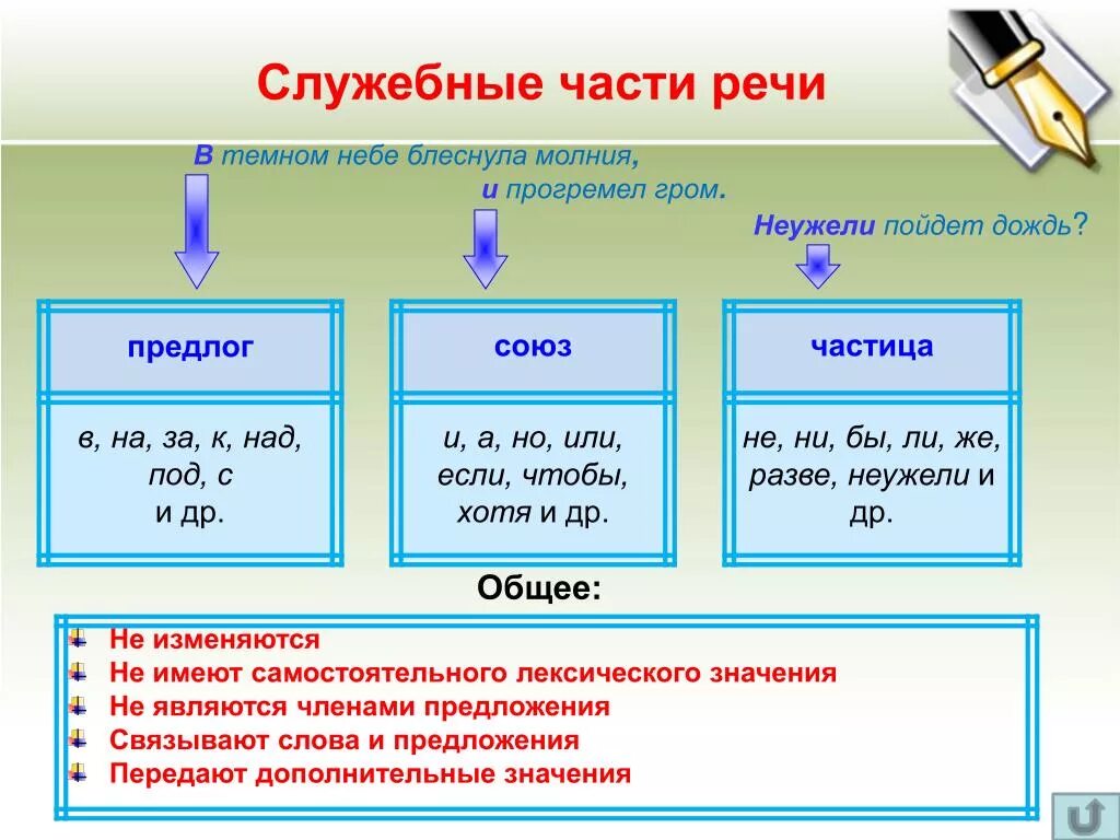 Часть. Что такое служебные части речи в русском языке 5. Служебные части речи в русском языке 7 класс. Служебные части речи в русском языке 6 класс. Служебные части речи в русском языке 5 класс.