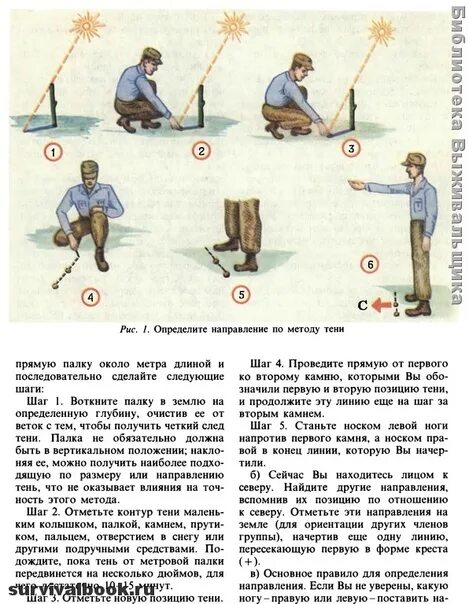 Что нужно делать чтобы выжить