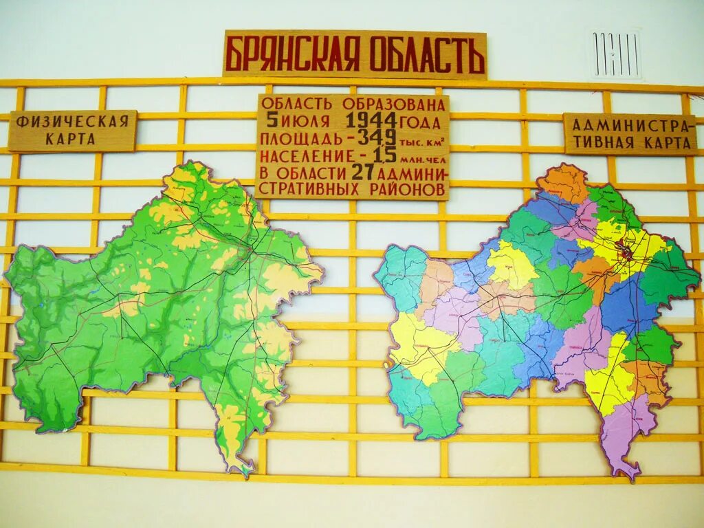 Карта брянска купить. Карта Брянска по районам. Районы Брянска на карте. Физическая карта Брянской области. Карта Брянска с районами города.