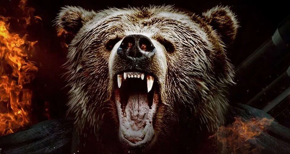 Тема русский медведь. Злой медведь. Русский медведь. Оскал медведя. Разъяренный медведь.