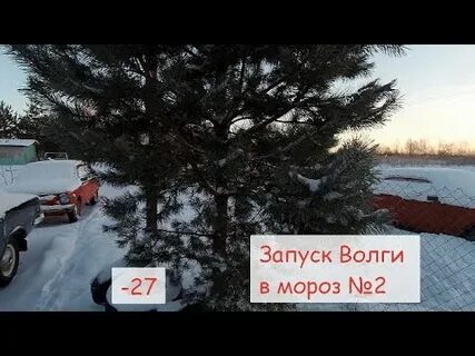 Запущенное морозом