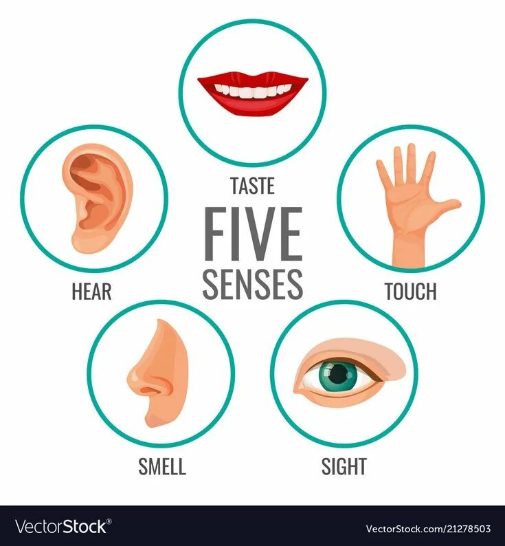 Out of senses