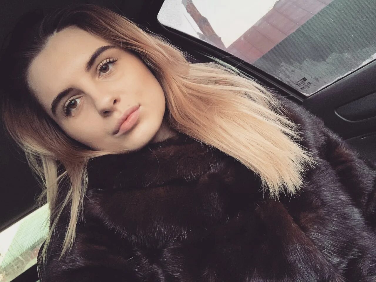 Елены артемовой. Елены артемовой