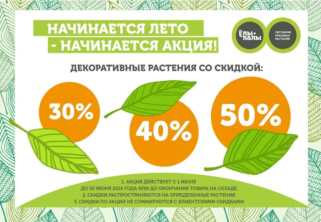 Wins акции. Акция лето. летняя акция. названия летних акций. акции летом.