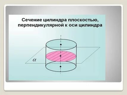 Сечение цилиндра плоскостью перпендикулярной основанию