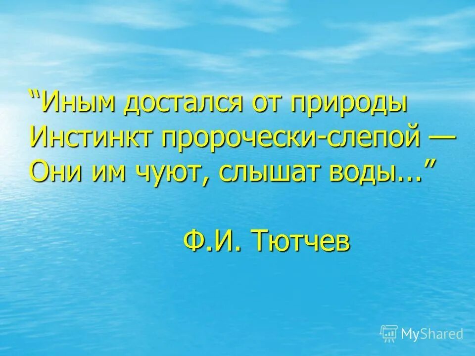 Чуять слышать. Иным достался от природы. Тютчев воды. Иным достался от природы анализ. Слышна вода.