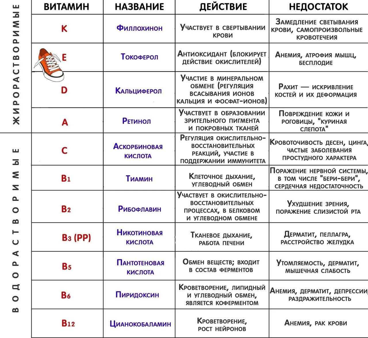 Водорастворимые витамины таблица по биологии 8 класс. Таблица по биологии витамины 8 класс название витаминов. Таблица по биологии 8 класс характеристика витаминов. Витамины для ЕГЭ по биологии таблица. Витамины характеризуются