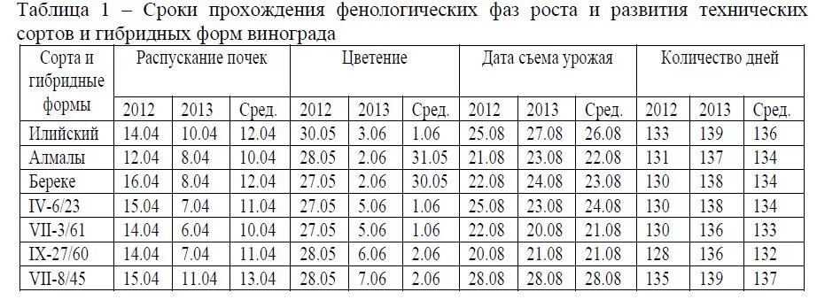 Обзор зернового рынка. 09 сентября 2013 года
