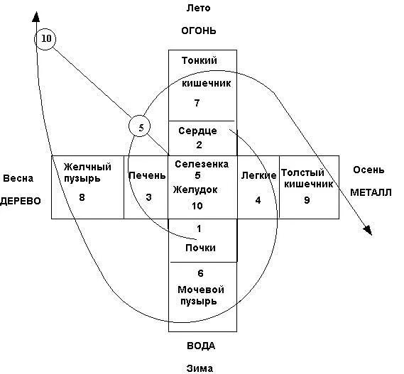 Анализ 5 элементам. Усин китайская медицина меридианы. Усин традиционная китайская медицина. Схема у син. Схема у-син пять первоэлементов.