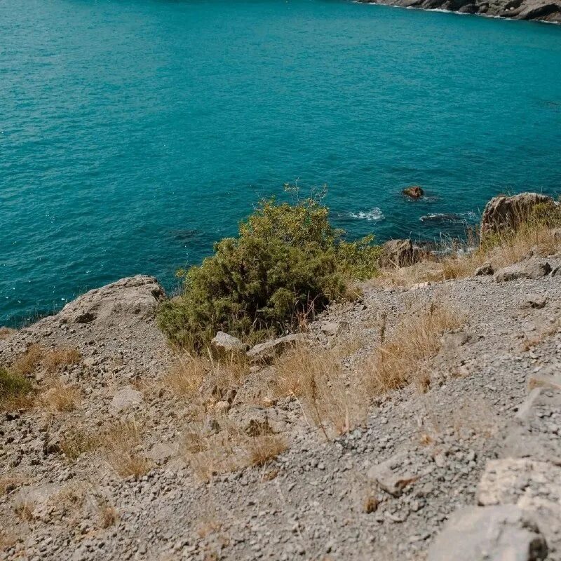 Чудо в крыму фильм актеры. Ф. Скала сердце крым. Чудо в крыму 2015 кадры из фильма. Чудо в крыму 2015.