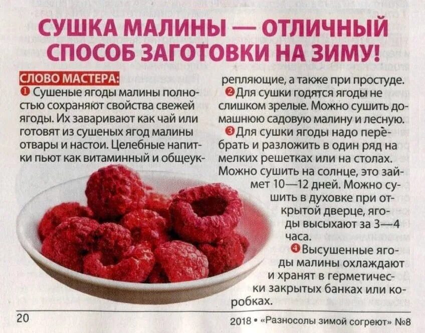 Сушка малины. Сушка малины в духовке. Сушка малины на заготовку. Сушка малины в электросушилке. При какой температуре можно малину