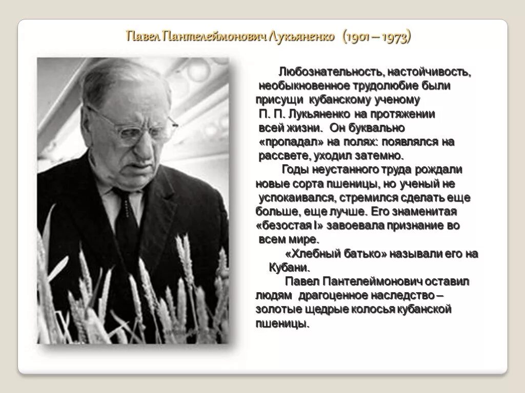 Ученые селекционеры кубани. Выдающиеся ученые кубани. Земляки труженики лукьяненко. Известные люди труда земляки кубани. Знаменитые ученые кубани.