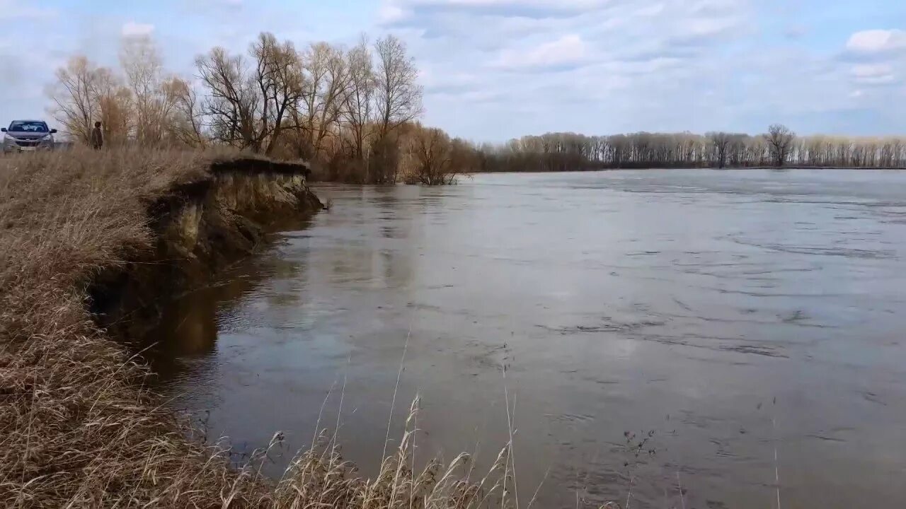 Вода в реке стала быстро прибывать. Исток реки Чумыш. Река Неня в Алтайском крае. Река Чумыш Заринск. Река Чумыш Алтайский край.