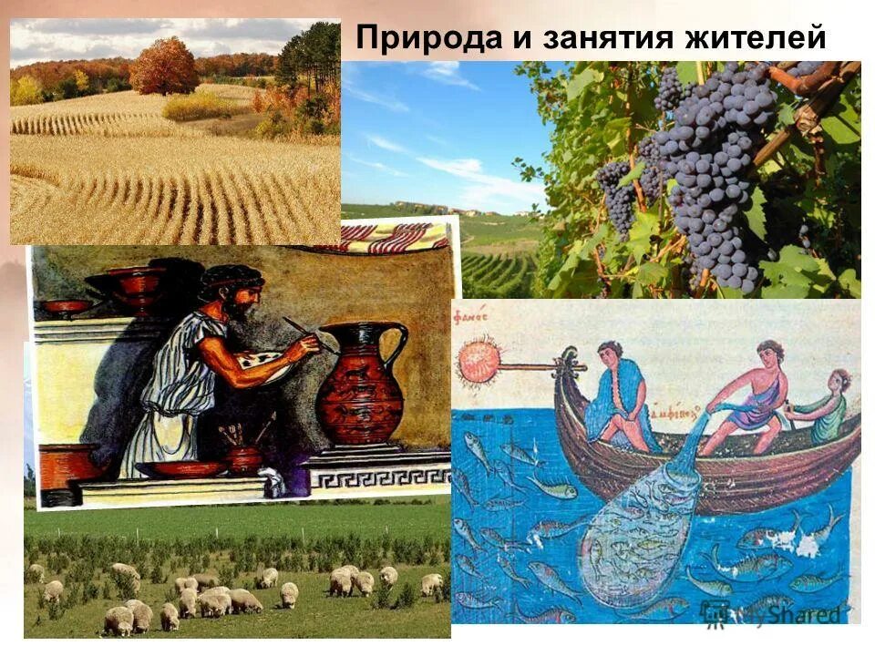 основные занятия греции