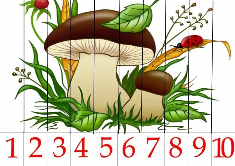 Игра собери грибы. Математические пазлы. Математические пазлы грибы. Пазл на тему осень для детей. Математические пазлы осень для дошкольников.