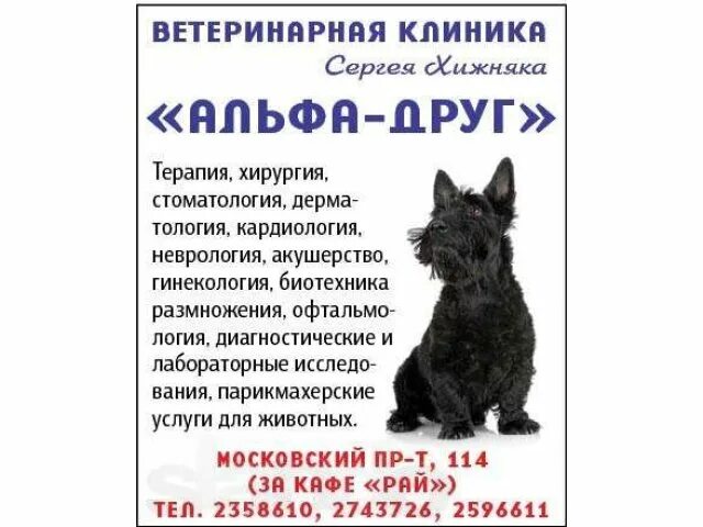 Альфа друг воронеж. Альфа друг воронеж. Альфа друг воронеж. Альфа друг. Ветклиника в самаре на владимирской.