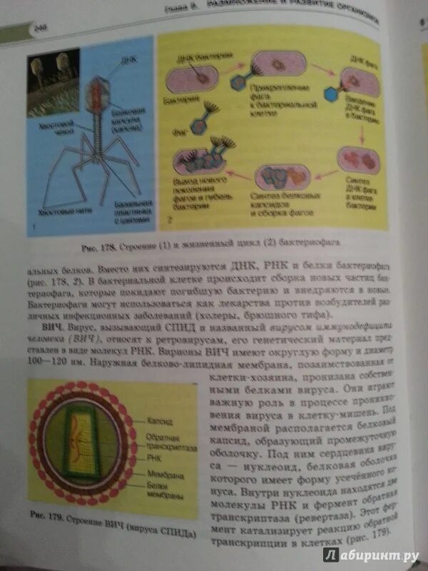 Петросова биология читать. Школьные учебники по биологии. Вирусы учебник биологии. Коронавирус в учебнике биологии. Коронавирус в учебнике по биологии СССР.
