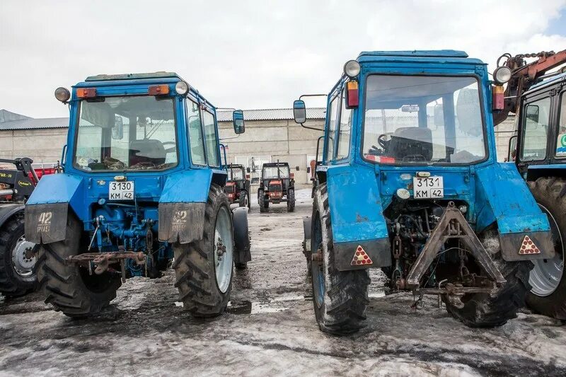 МТЗ 82 СПК береговой. Кемеровский район СПК береговой. СПК береговой 37 трактор.