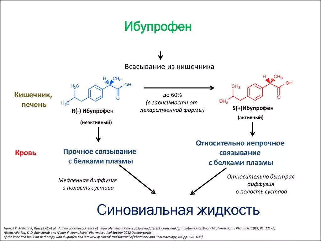 Ибупрофен понижает. Ибупрофен механизм действия. Механизм действия ибупрофена схема. Схема синтеза ибупрофена. Ибупрофен схема синтеза.