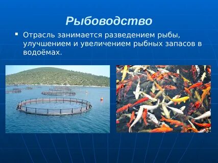Рыболовство отрасль хозяйства