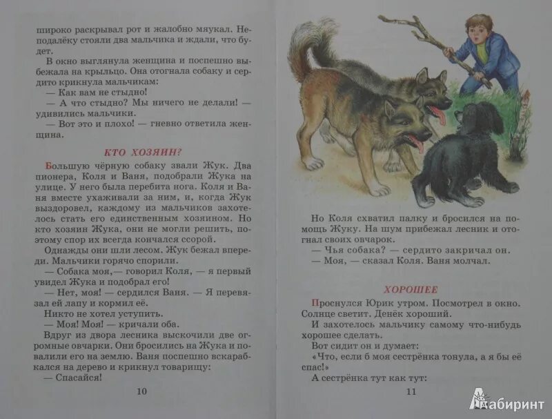 Включи большой рассказ. Рассказ Осеевой кто хозяин. Рассказ кто хозяин. В.А. Осеевой Белкины проделки книга.