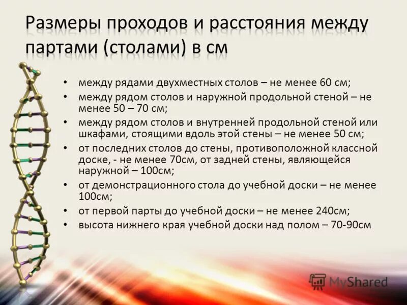 между рядами двухместных столов