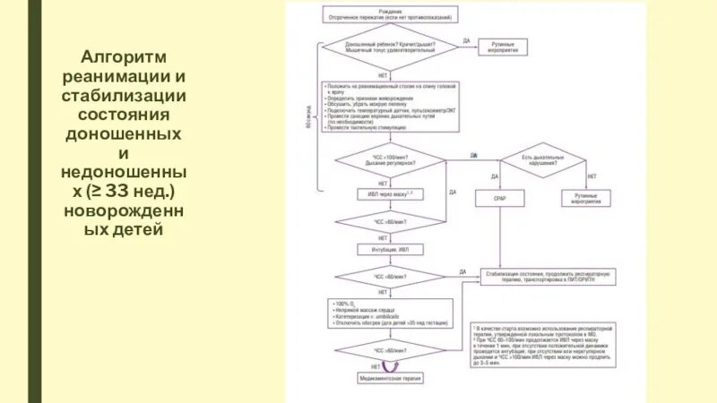 Реанимация и стабилизация новорожденных