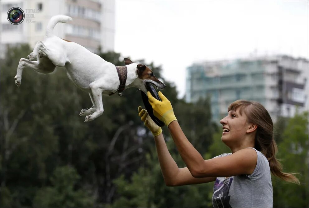 удачные кадры. фотографирование животных. забавные кадры. забавные кадры. вилдлайф фотографер.