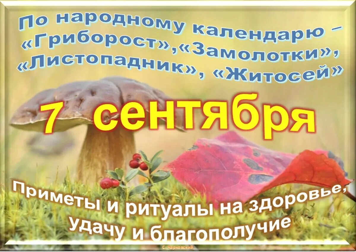 Не школа барабанов. Седьмое сентября игра. Праздники в сентябре. 7 сентября календарь. День уничтожения военной игрушки.