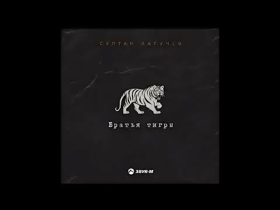 Мой брат тигр. Мой братан. Песни мой брат тигр. Мой брат тигр. Песни мой брат тигр.