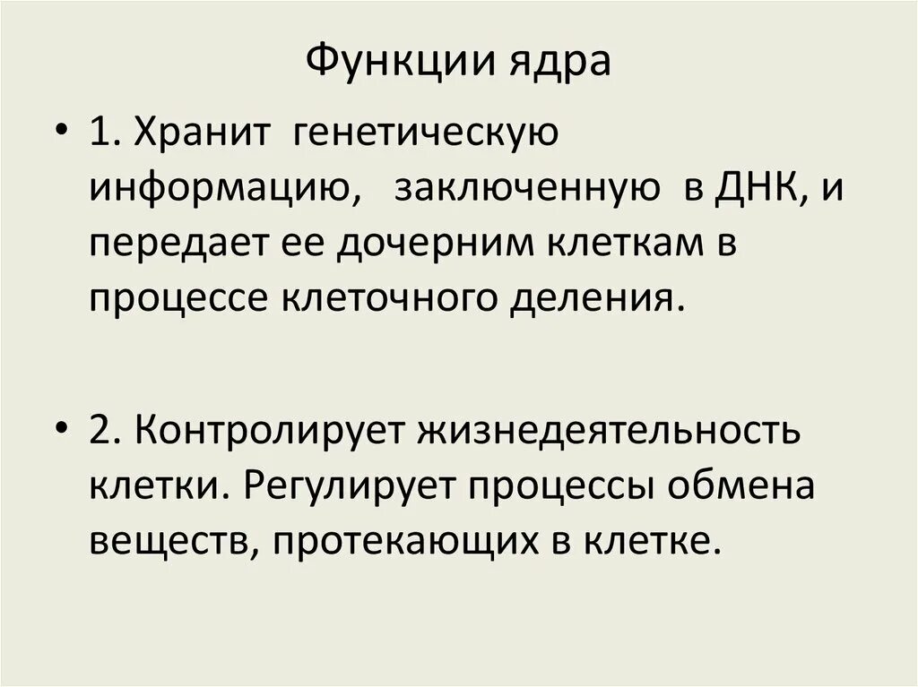 Каковы основные функции ядра. Общие функции ядра клетки. Какова основная функция ядра.