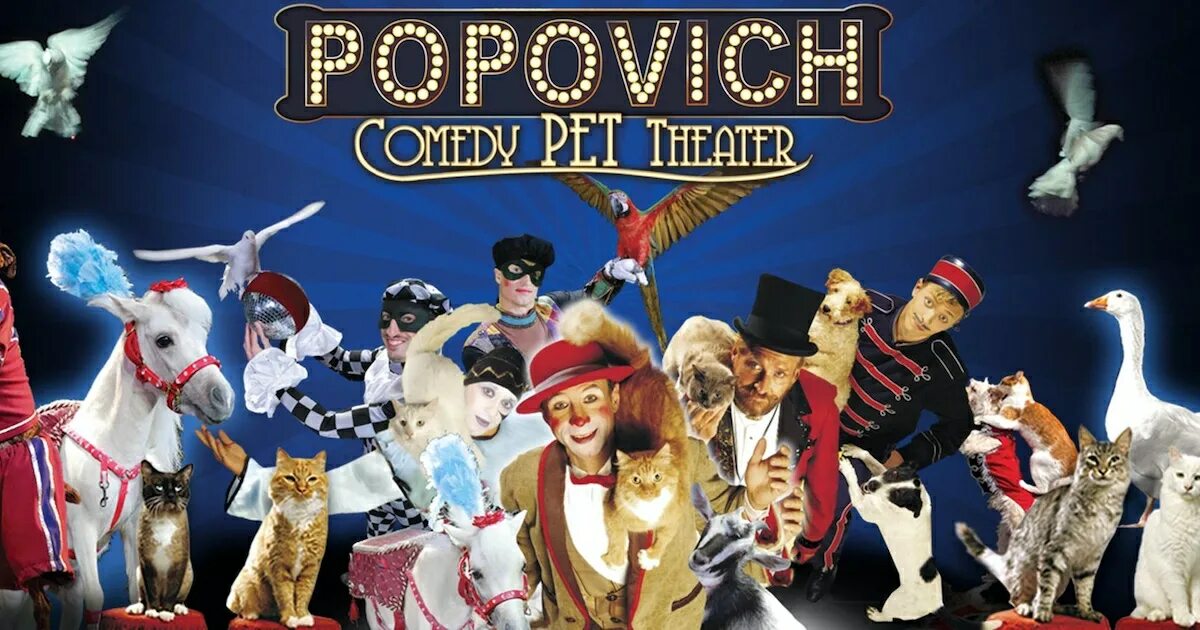 Theater pet. Comedy Pets.