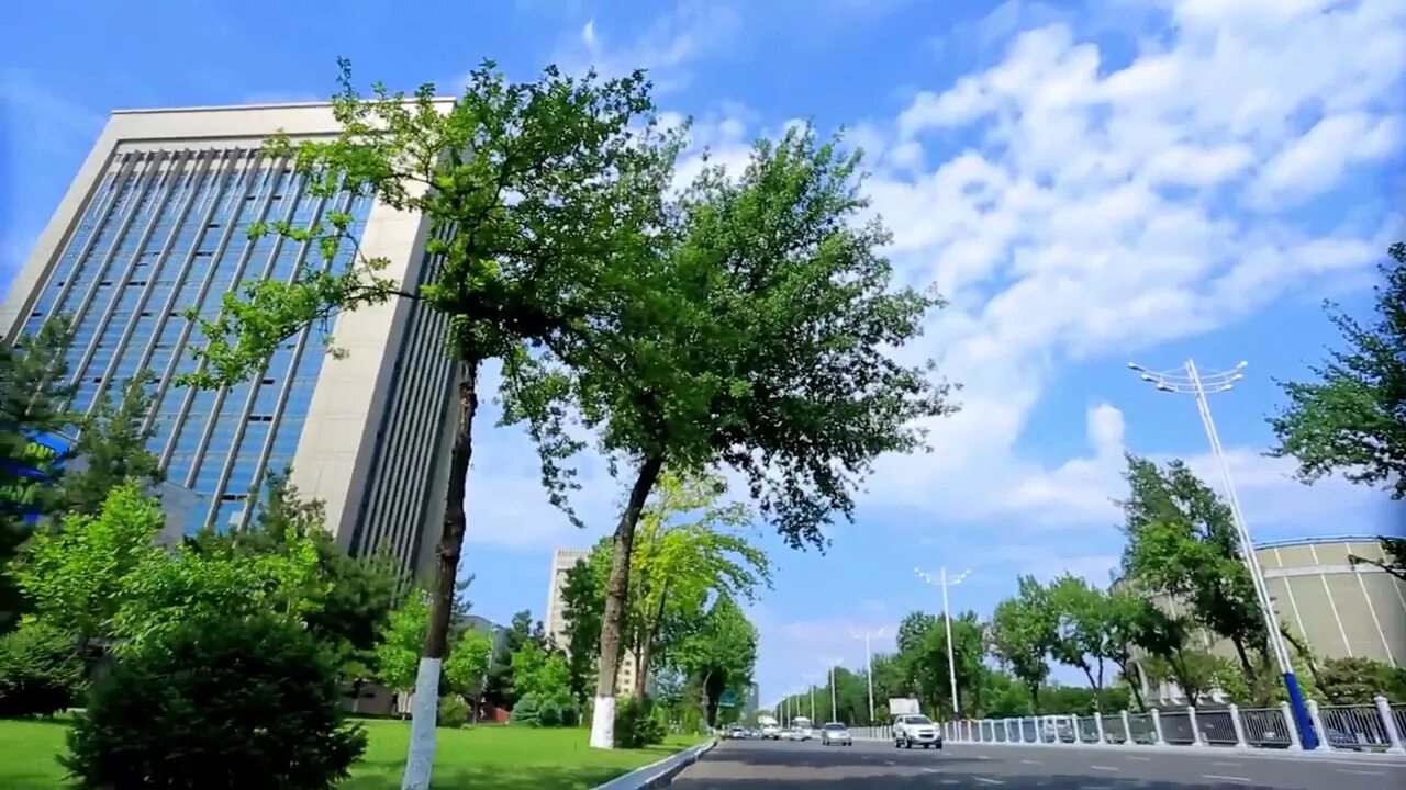 Ташкентский государственный экономический университет логотип. Narxoz university tashkent. Тошкент иктисодиет университети. Тгэу ташкент. Университет плеханова в ташкенте.