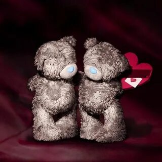 Teddy wonderful