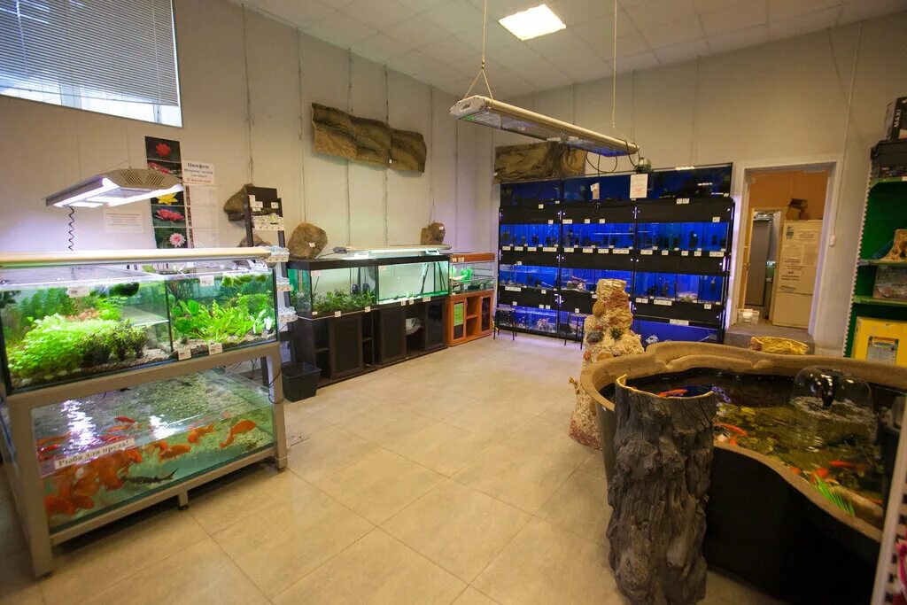 Большой аквариумный магазин в спб. Акваинтерио в санкт петербурге. Акваинтерио санкт-петербург коломяжский. Акваинтерио в санкт петербурге. Лампа для аквариума акваинтерио.