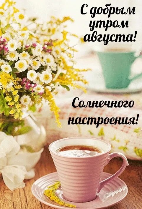 Мирного утра и дня картинки красивые. Мирного утра и дня картинки красивые