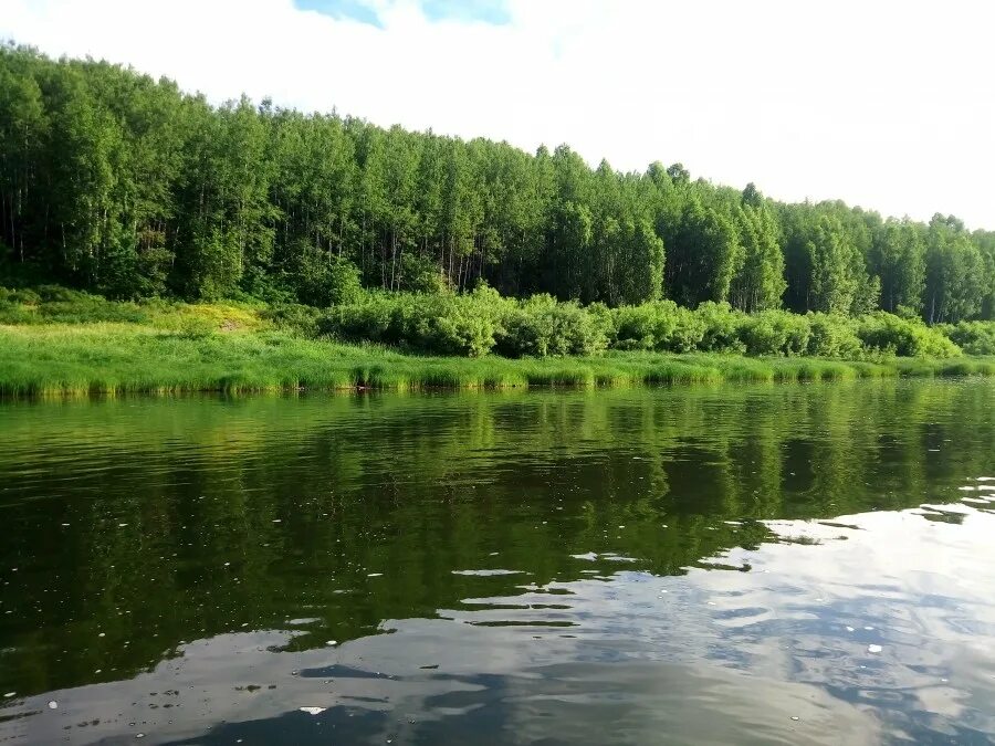 Хутор холодный плес. Холодный Плес. Холодный Плес Ростовская область.