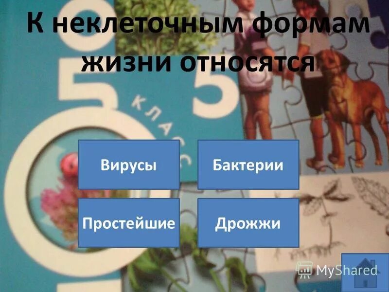 Мельчайшая форма жизнь. Наука о живой природе носит название. К неклеточным формам относятся. К неклеточным формам жизни относят. Что относится неклеточным жизнь.