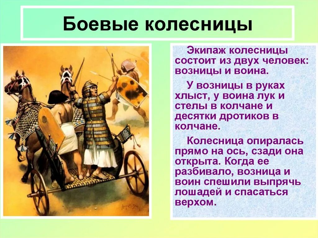 Военные походы фараонов факты. Боевая колесница. Военные походы фараонов. Возница колесницы. Военные походы фараонов кратко.