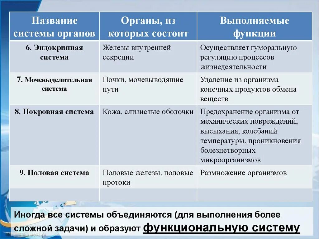 Строение и жизнедеятельность органов и систем органов. Таблица название системы органов органы функции. Таблица по биологии 8 класс система органов органы функции таблица. Система органов из каких органов состоит функции таблица 8 класс. Перечислите основные системы органов и их функции 8 класс.