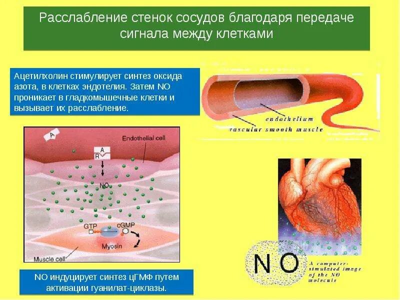 Проникает через стенки сосудов. Воспаление эндотелия сосудов. Отложение холестерина на веках. Проникают через стенки сосудов. Васкулит кровеносных сосудов.