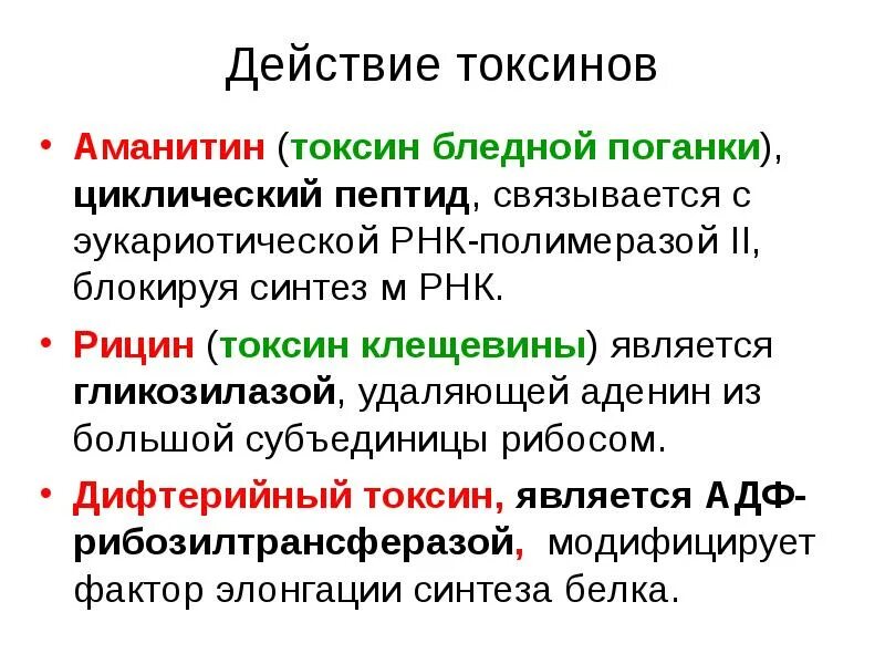 Рнк блокирует. Аманитин механизм действия. Альфа аманитин механизм действия. Α-Токсин механизм действия. Механизм действия α-аманитина на матричные синтезы.