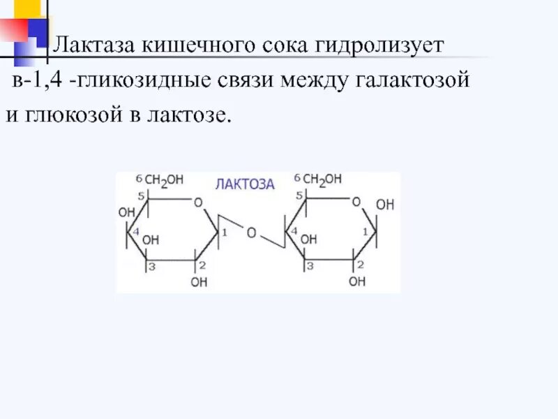 Связь 4 гликозидная. Альфа 1 4 гликозидная связь. Альфа 1 6 гликозидная связь. Лактоза Тип гликозидной связи. Бета 1 4 гликозидная связь.